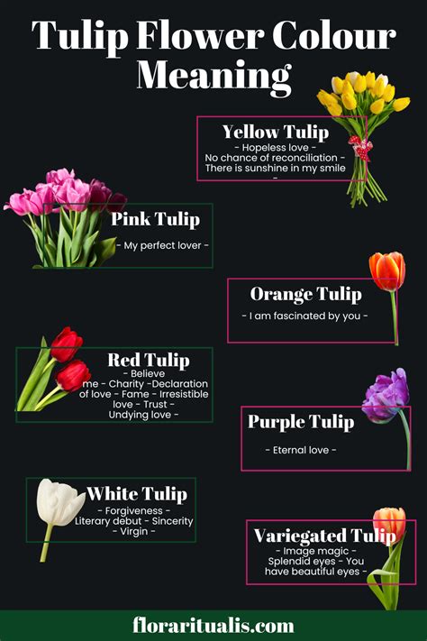 TULIG: Definition of the Tagalog word tulig in English..